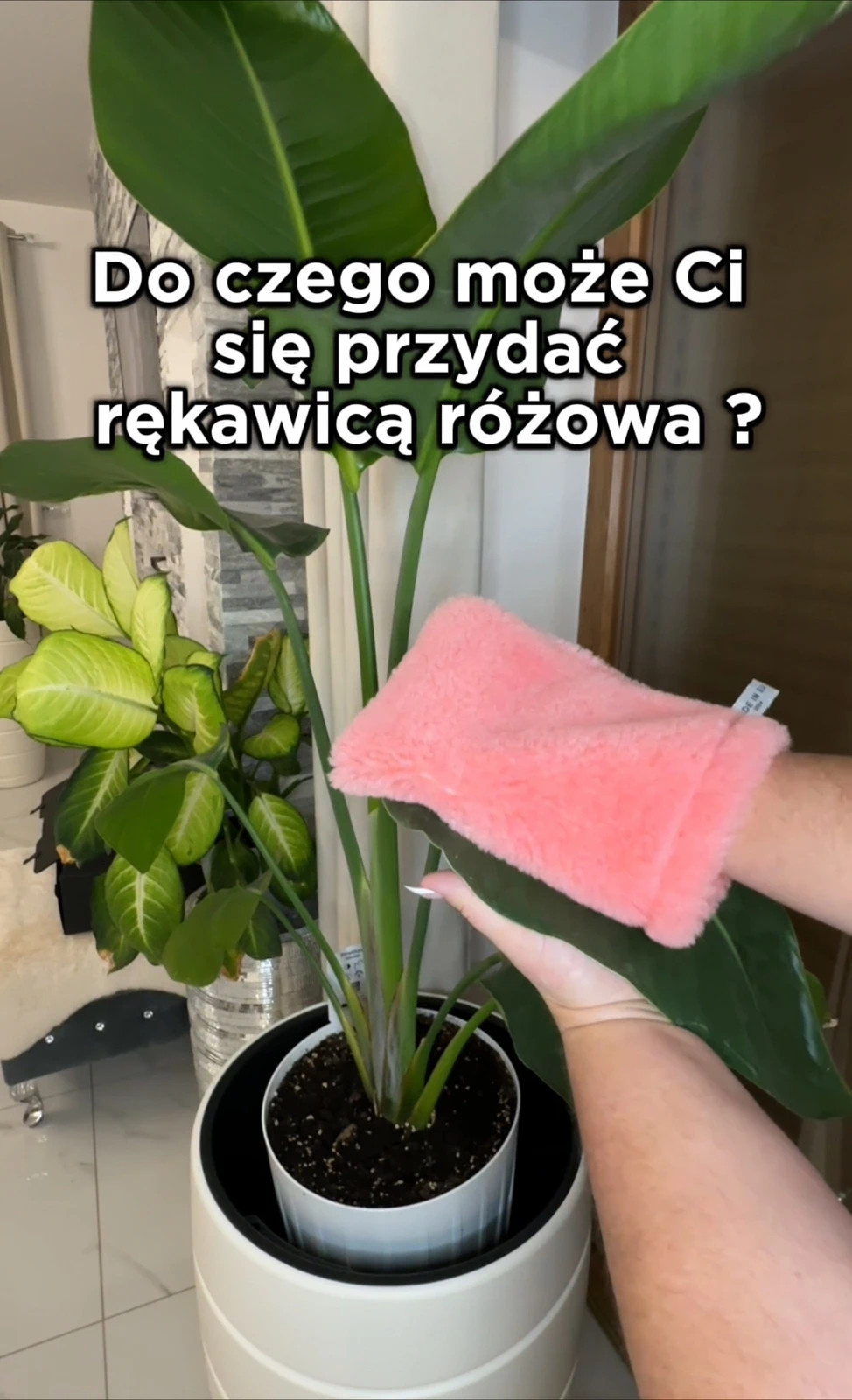 Rękawica różowa Raypath do kurzu