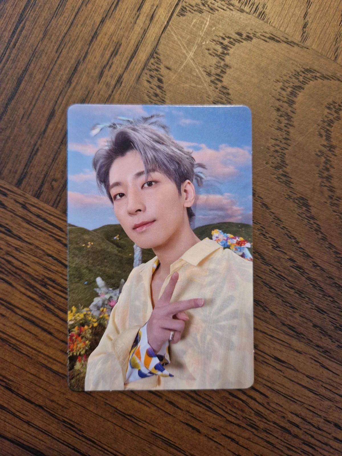 Wonwoo Photocard fra Seventeen Sector 17 Album