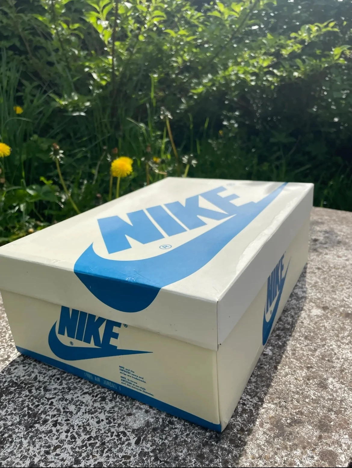 Nike sX Travis Scott sko box