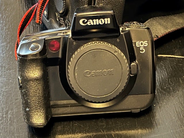 Canon, D5, God