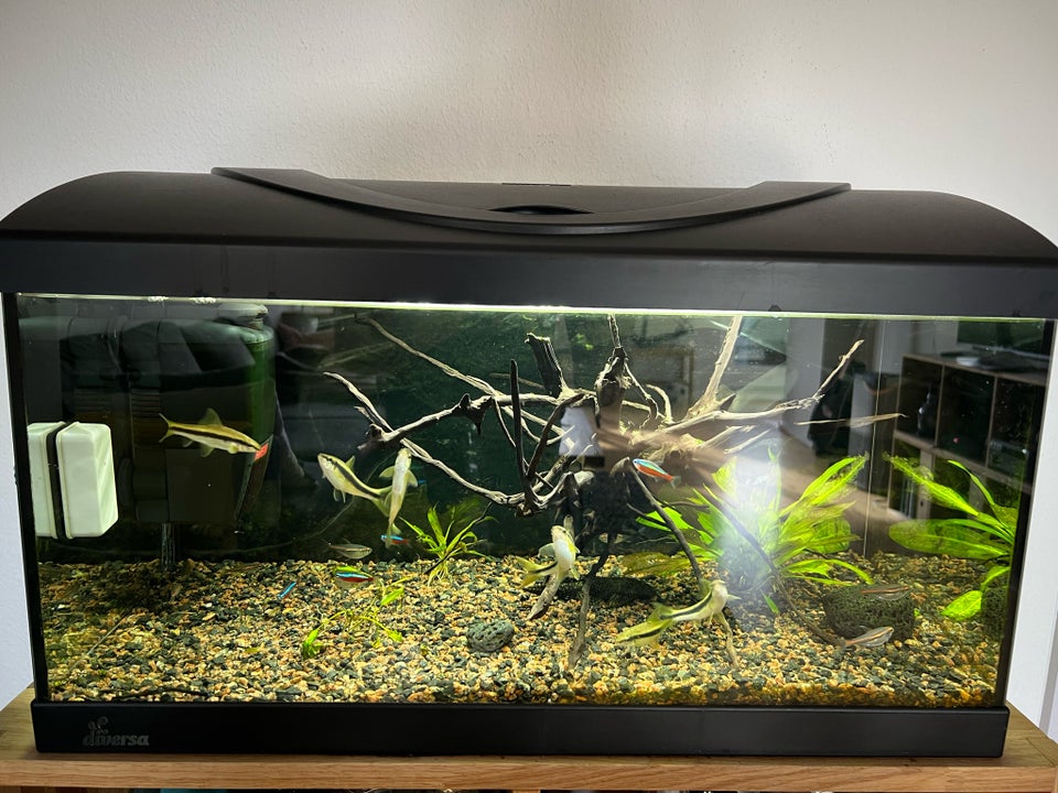 Akvarium, 55 liter, b: 60 d: 30 h: 30