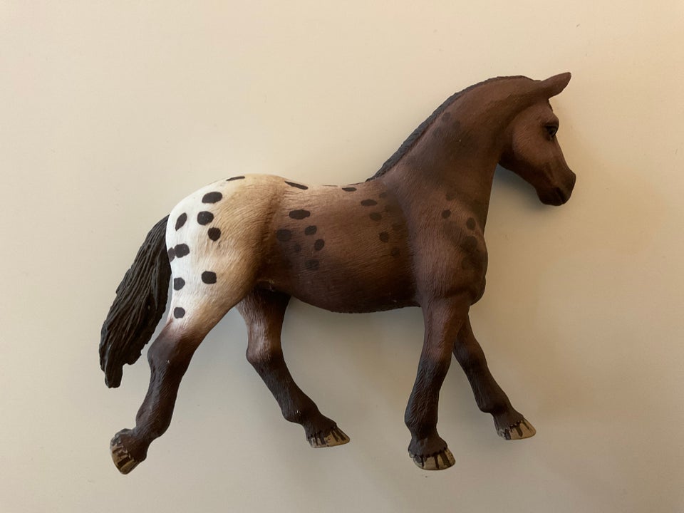 Dyr, 13861 Appaloosa hoppe,