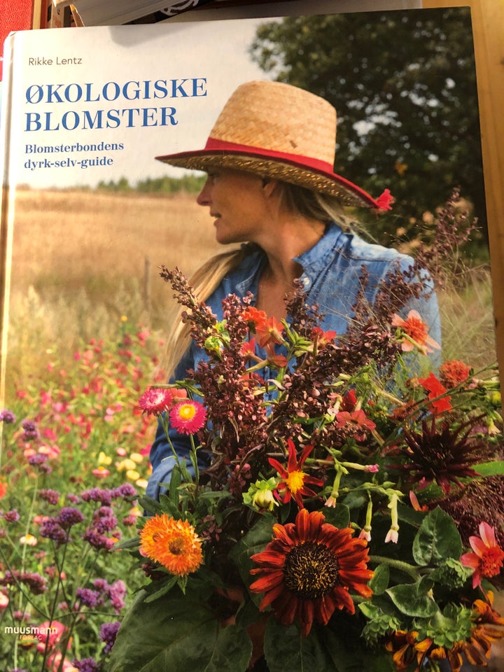 Økologiske blomster, Rikke lentz,