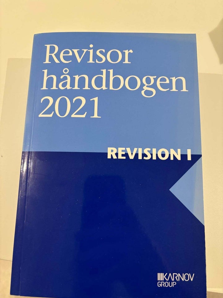 Revision regnskab cand.merc.aud