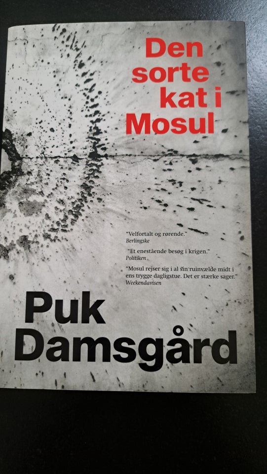 Den sorte kat I Mosul, Puk damsgård,