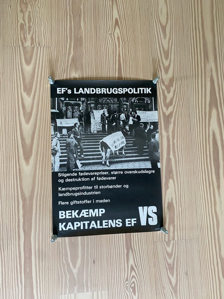 Valgplakat b: 42 h: 60