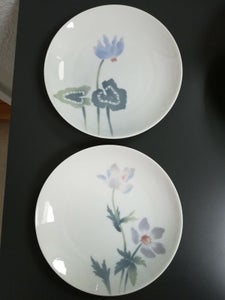 Porcelæn Platte Rosenthal