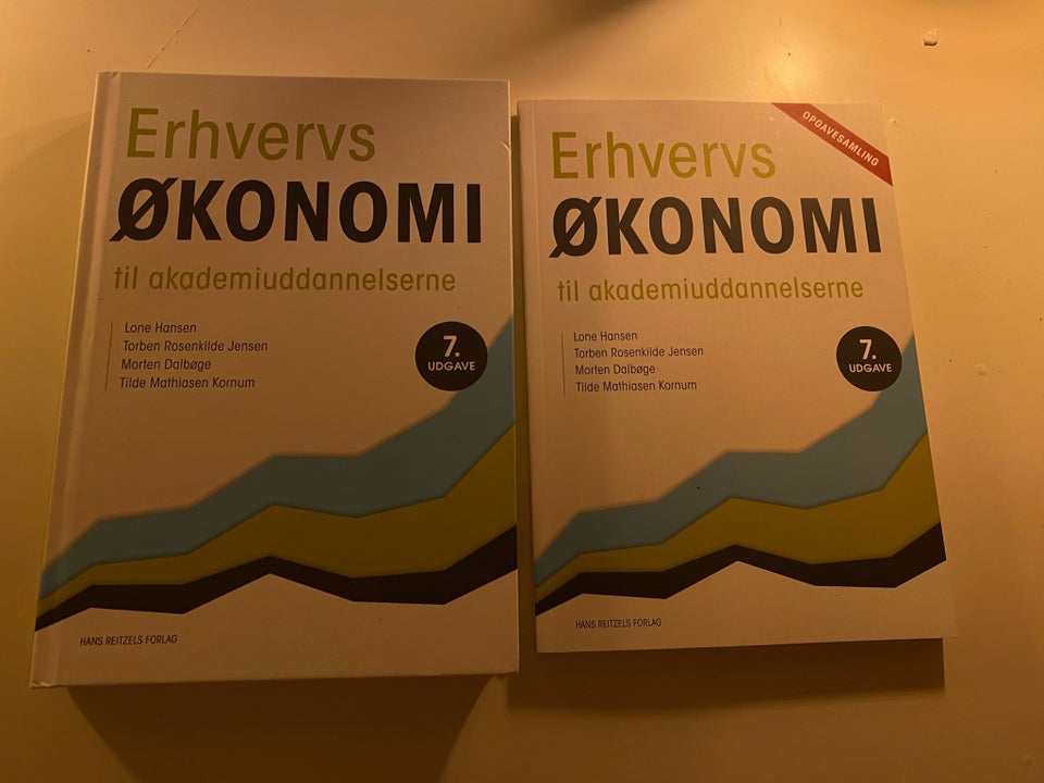 Erhvervsøkonomi til