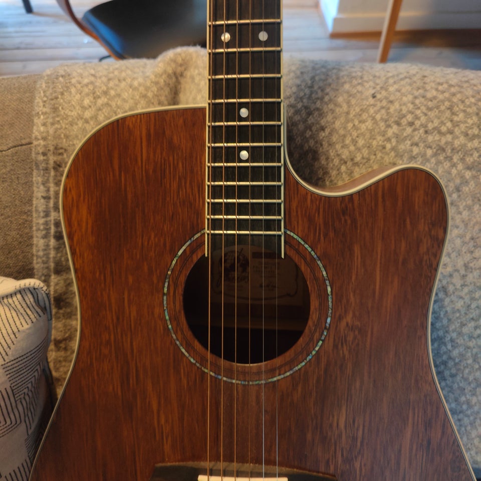 Western, Framus FD 14 M