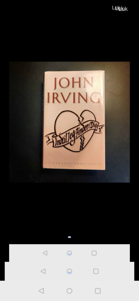 Indtil jeg finder dig John Irving