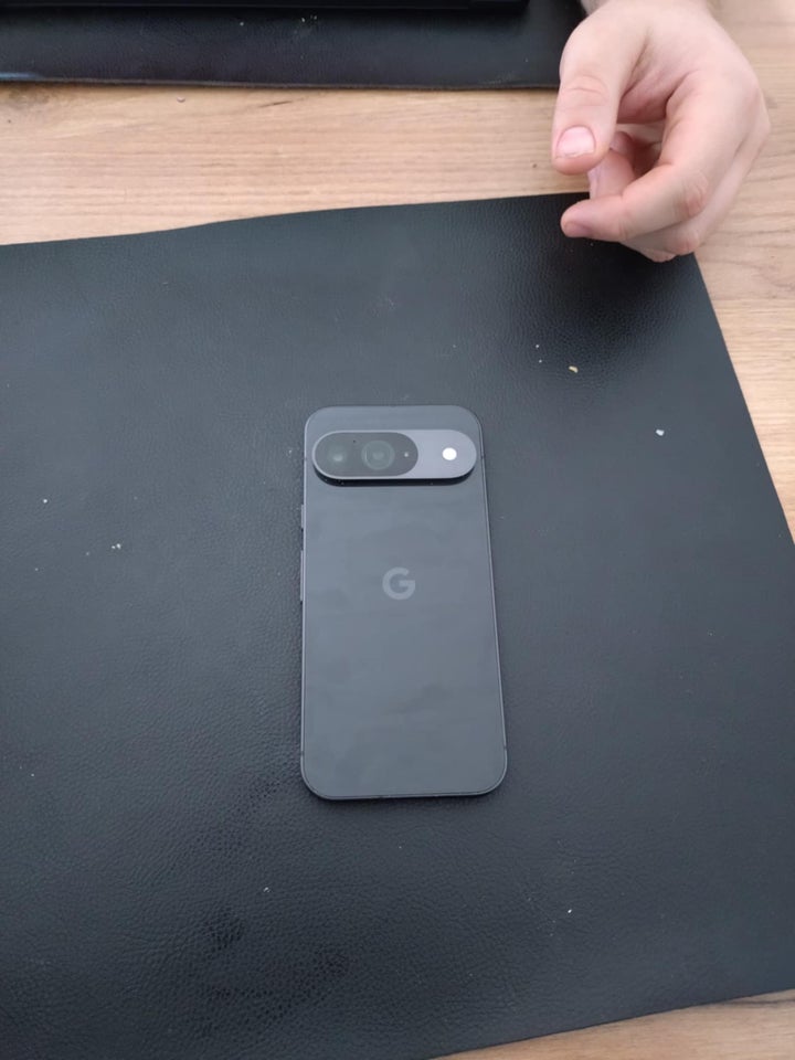 Google Pixel 9, 256 , Perfekt