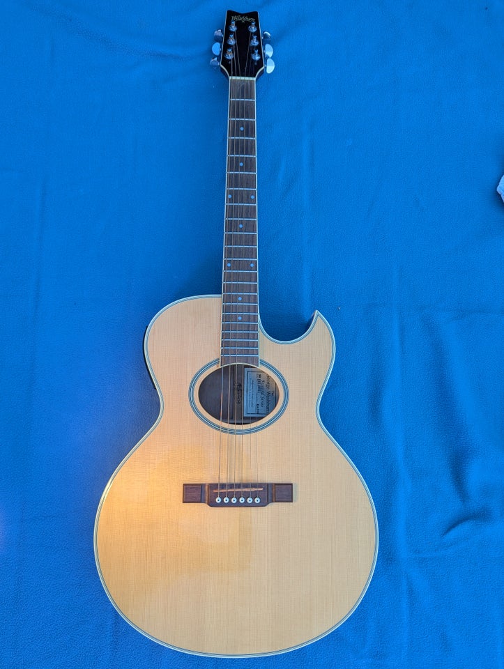 Western, Washburn EA20S