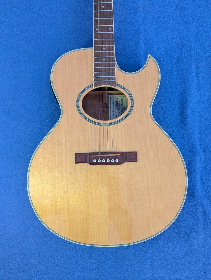 Western, Washburn EA20S