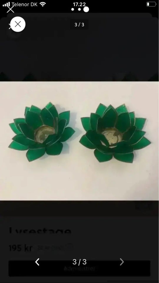 Smukke grønne Lotus
