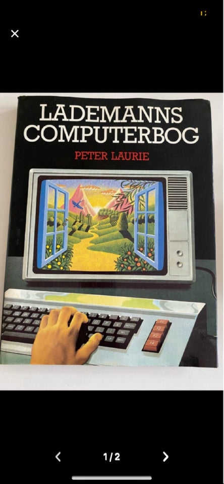 Lademann’s computerbog Peter Laurie emne: it og