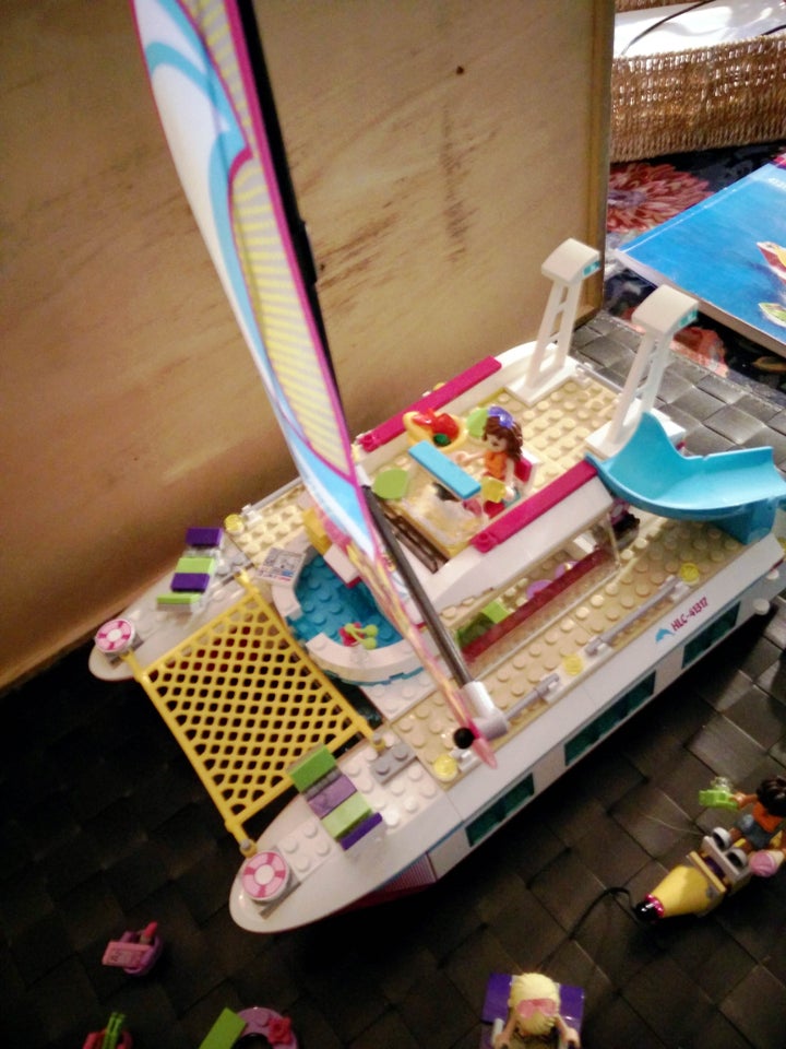 Lego Friends, 41317