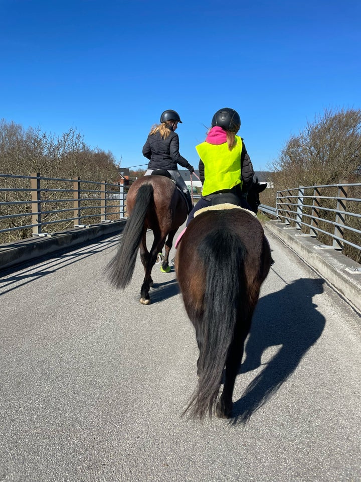 Cruzado vallak 7 år