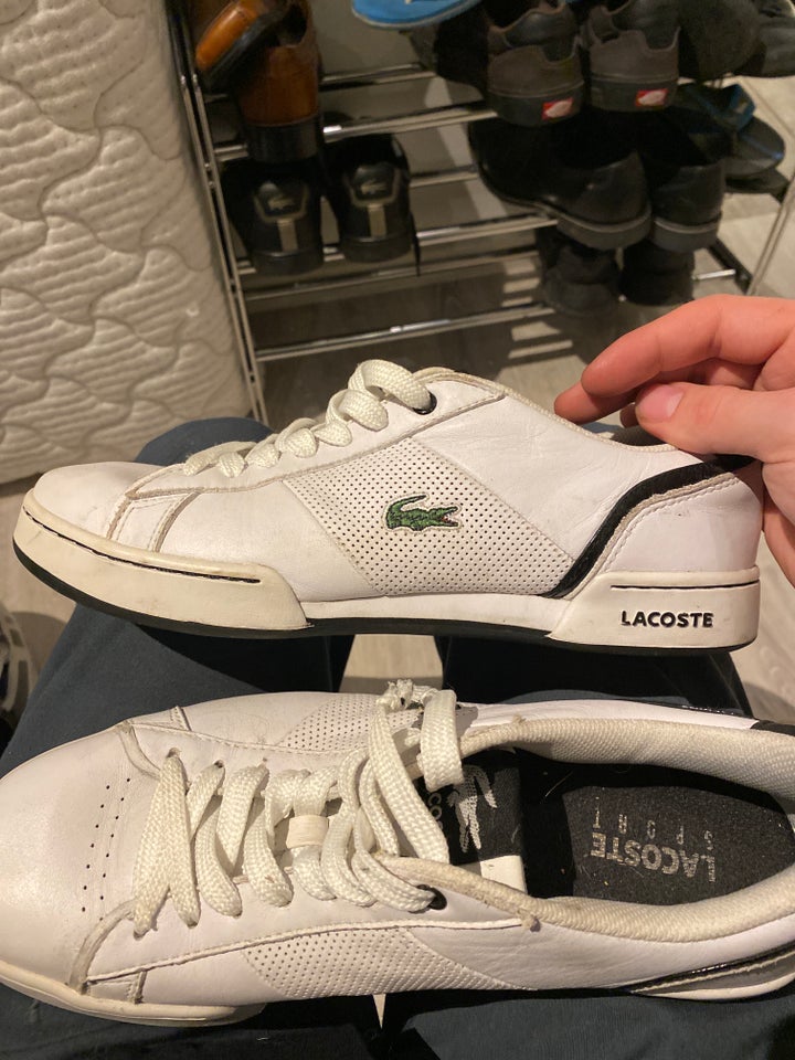 Sneakers, Lacoste, str. 41