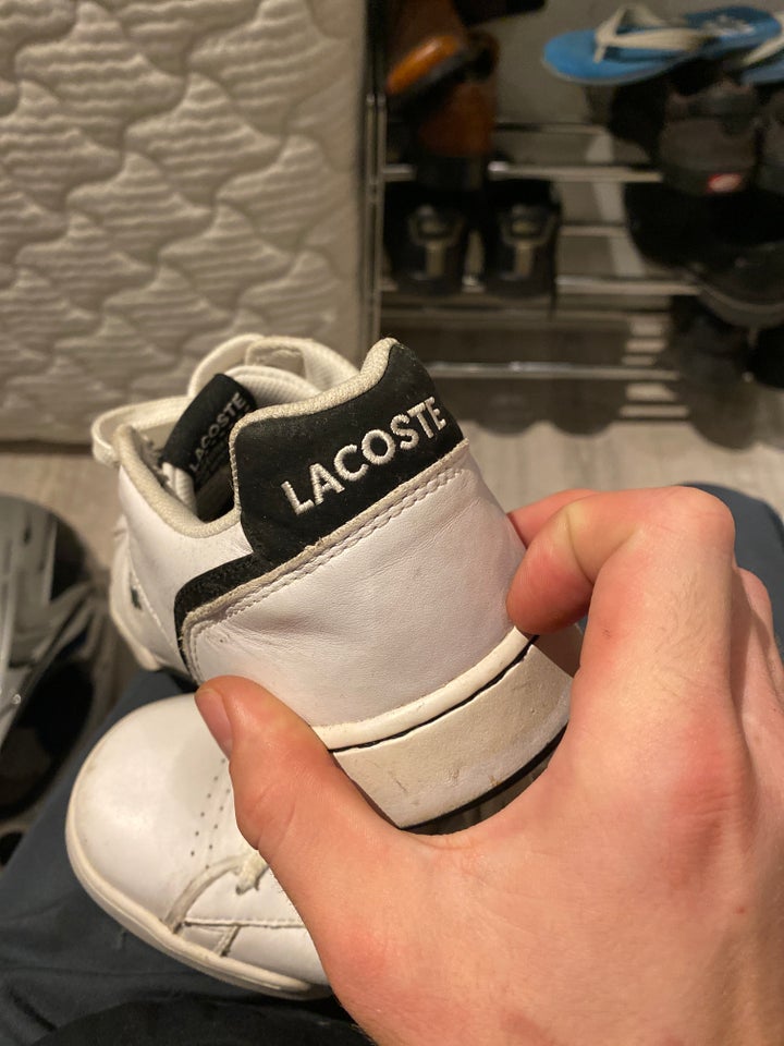 Sneakers, Lacoste, str. 41