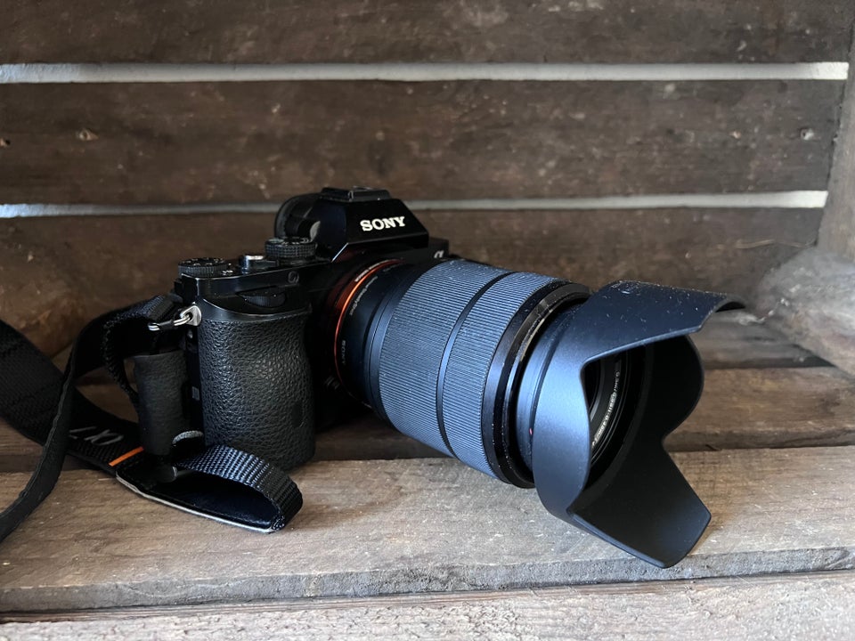 Sony Sony A7 (Full-frame) 243