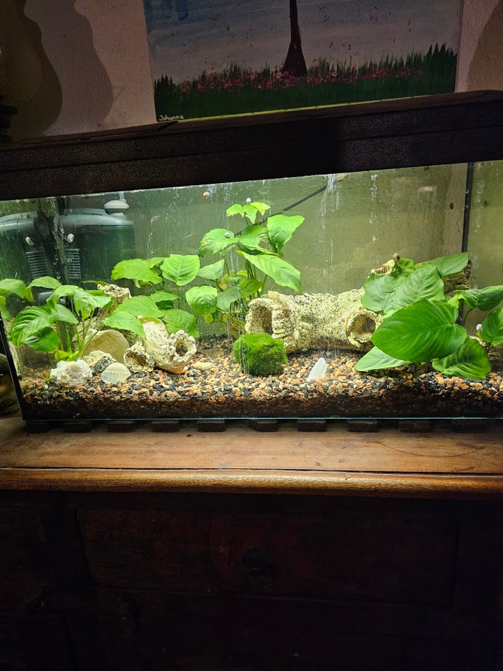 Akvarium 54 liter