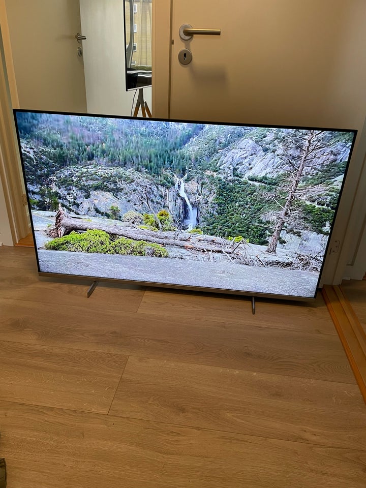 Philips, 55", Perfekt