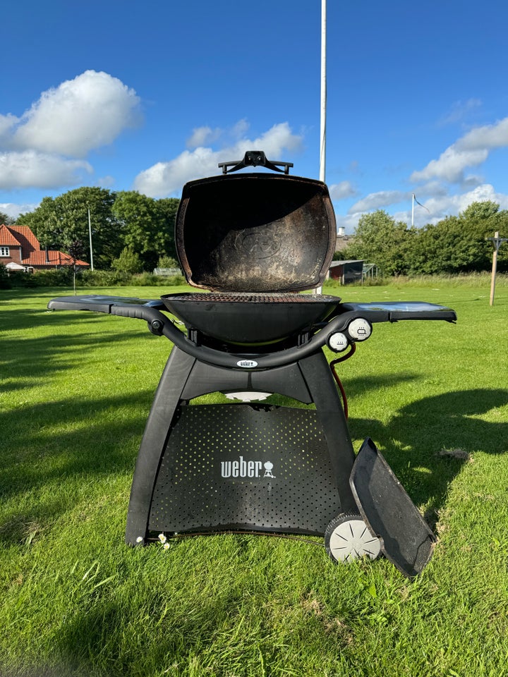 Gasgrill Weber