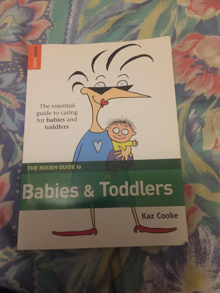 The Rough Guide to Babies and