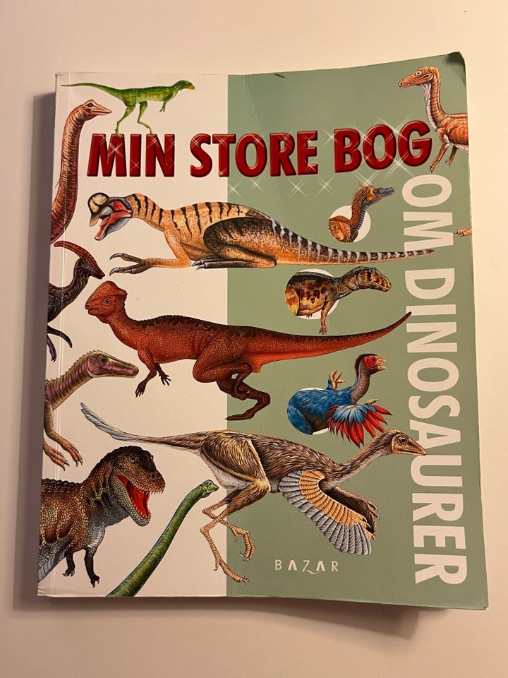 Min store bog om dinosaur, Ukendt