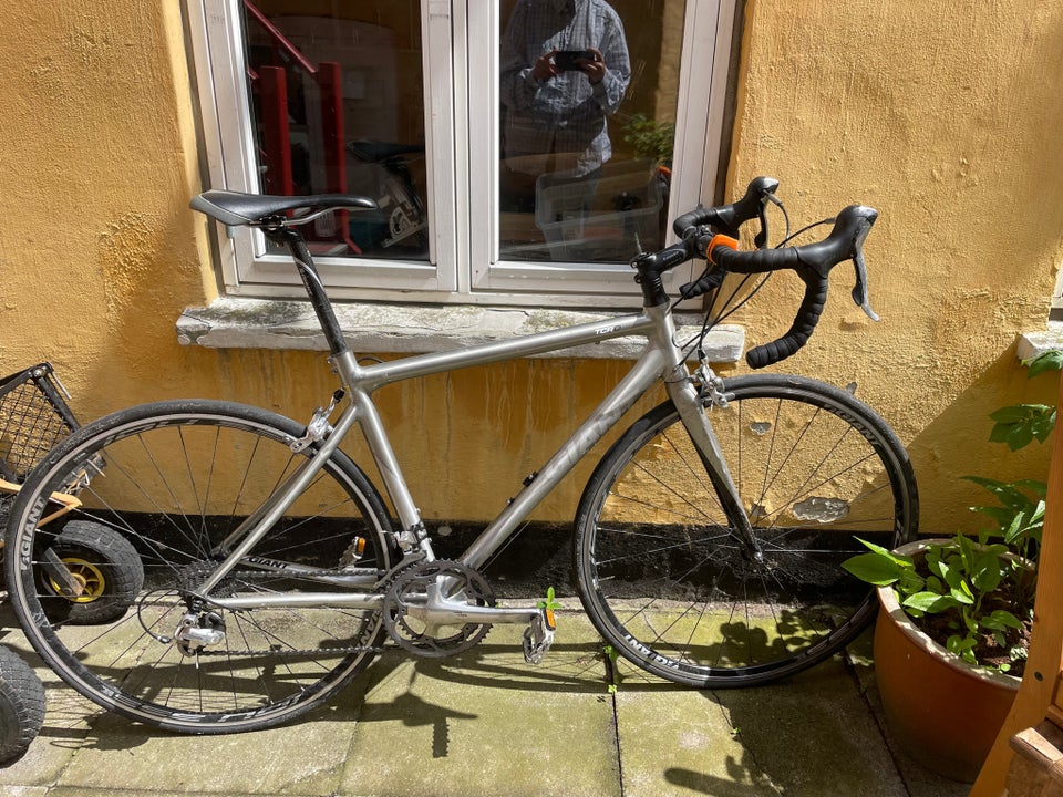 Herreracer, Giant TCR