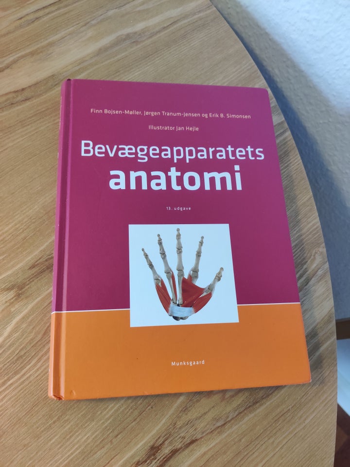 Bevægeapparatets anatomi, 13.