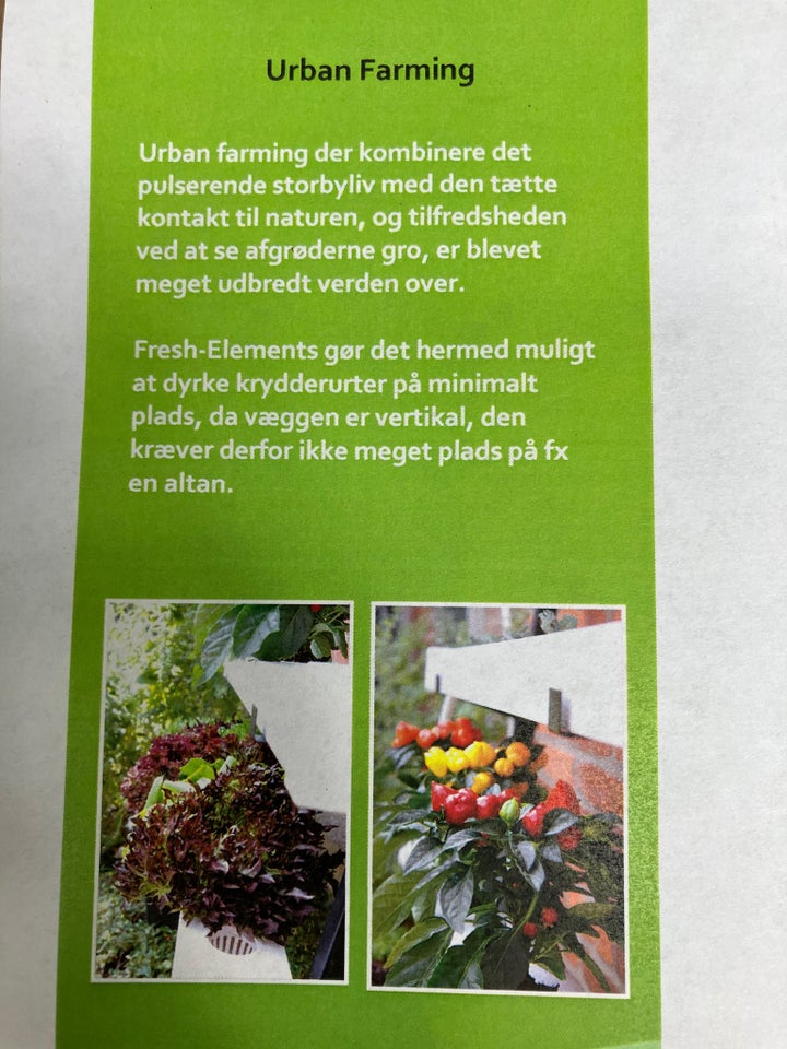 Nyt Hydroponic/Plantevæg med