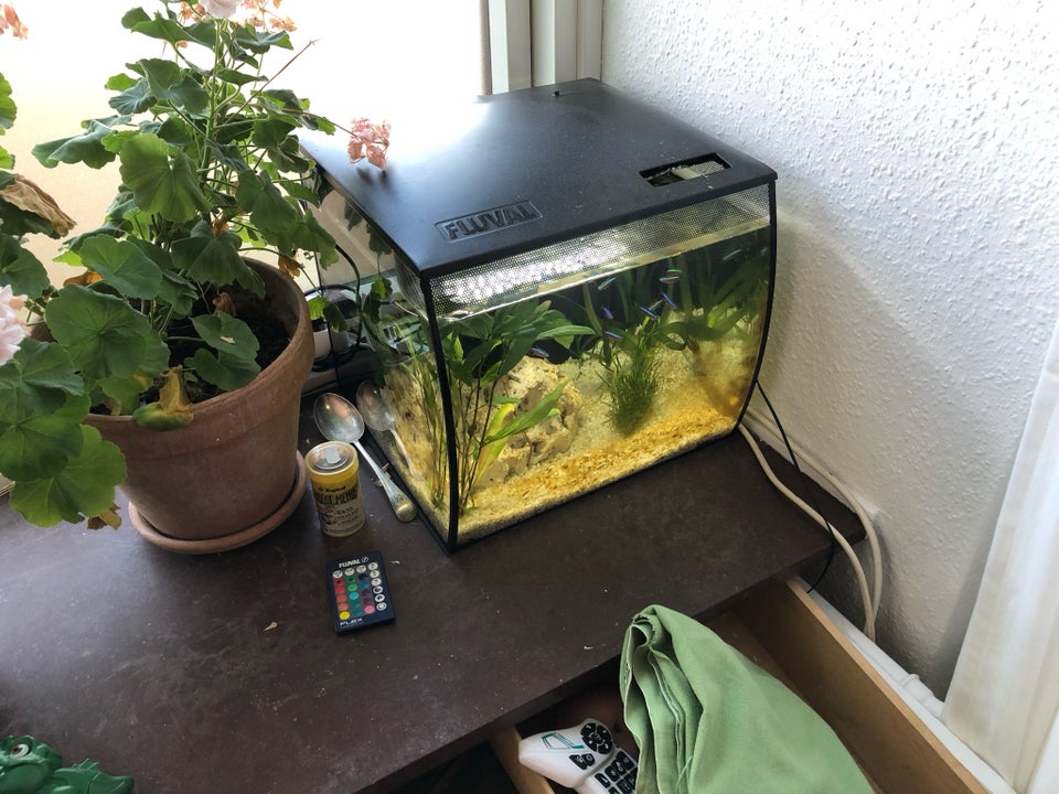 Akvarium, 34 liter