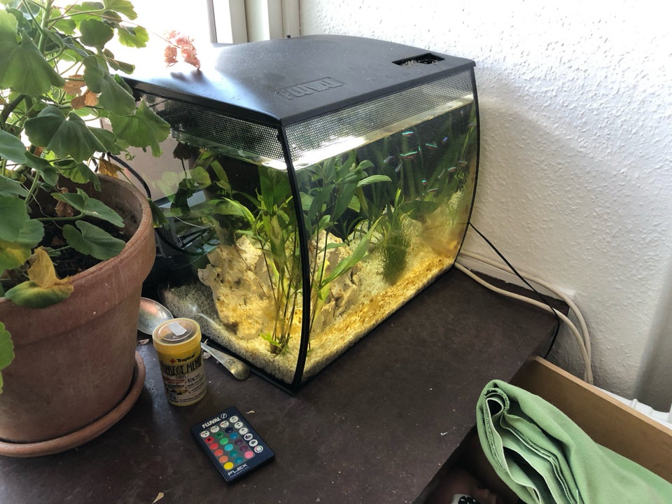 Akvarium, 34 liter