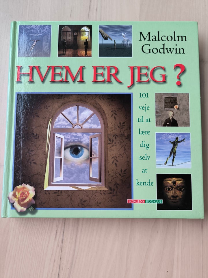 Hvem er jeg?, Malcolm Godwin, emne: