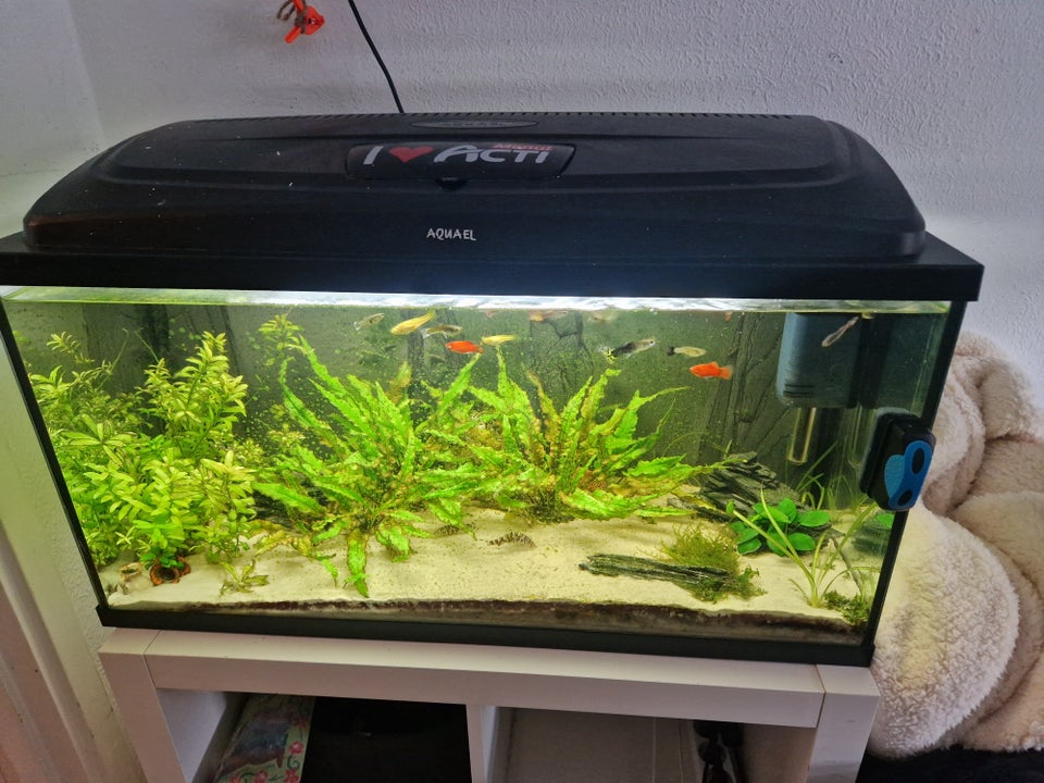 Akvarium, 110 liter