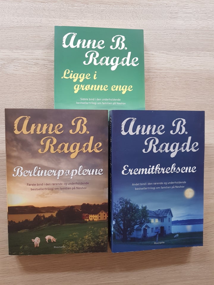 Berlinertrilogien, Anne B. Ragde,