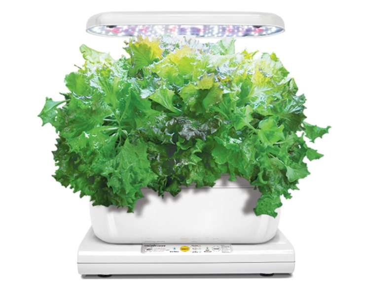 AEROGARDEN HARVEST