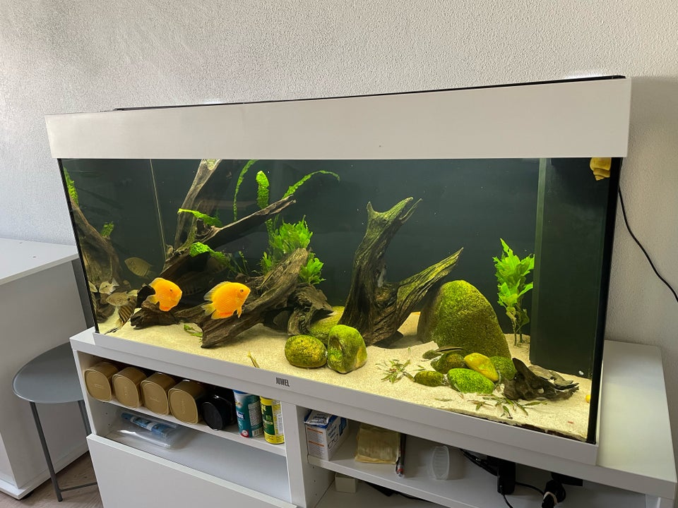 Akvarium, 180 liter, b: 101 d: 41 h: