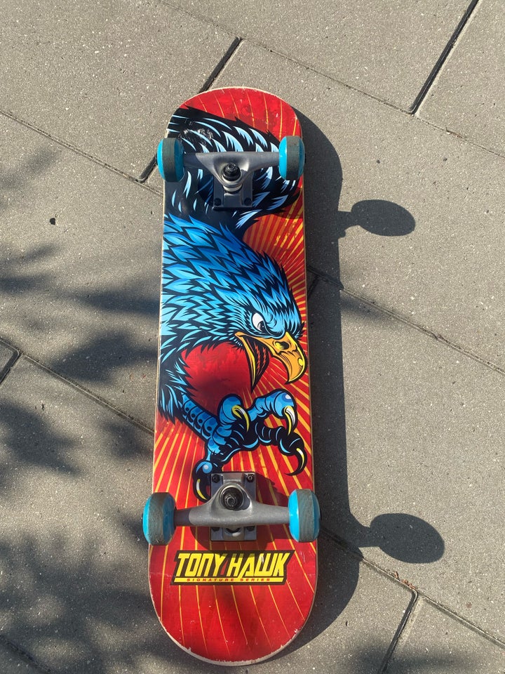 Skateboard Tony Hawk og skatepro