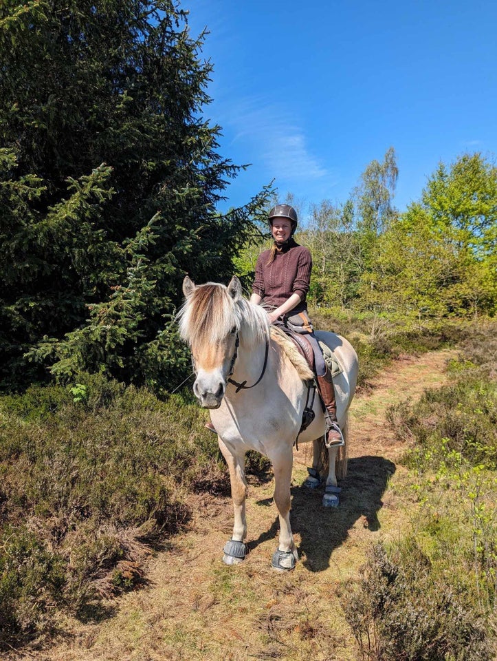 Perfekt skovsturs- og koneh