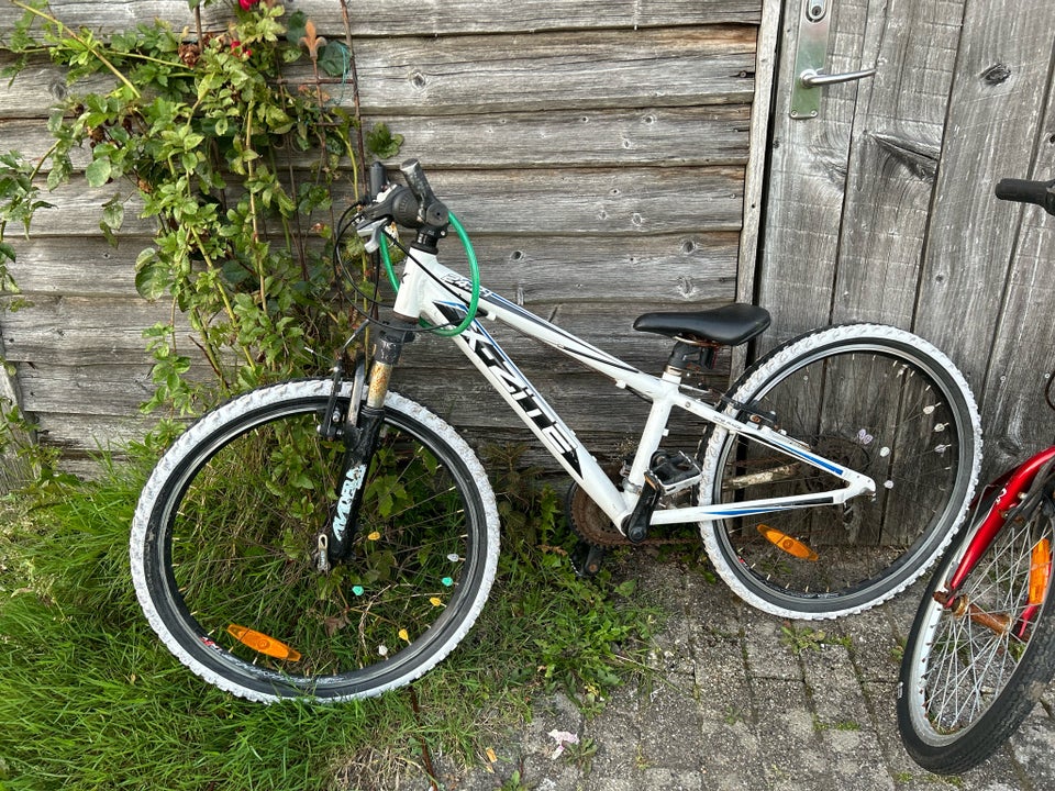 Unisex børnecykel anden type