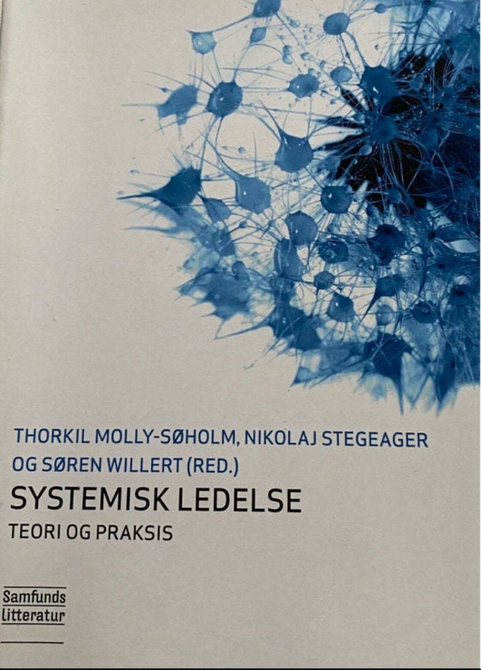 Systemisk ledelse, Thorkil