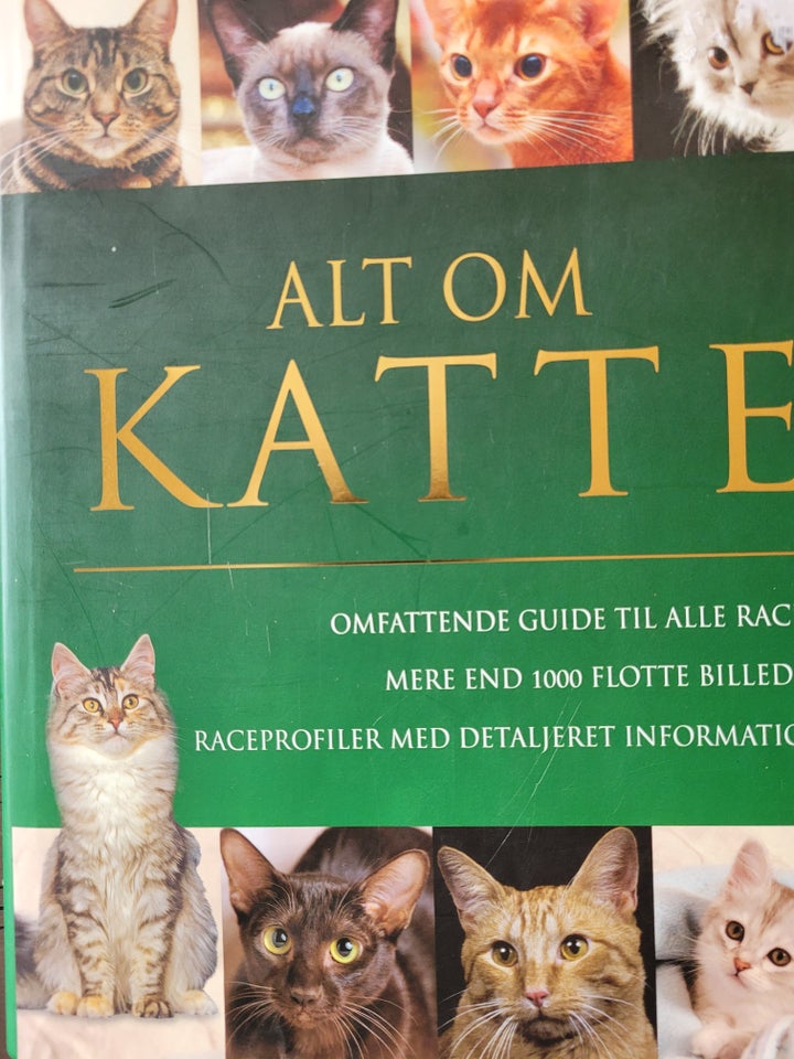 Katte, Katte, emne: dyr