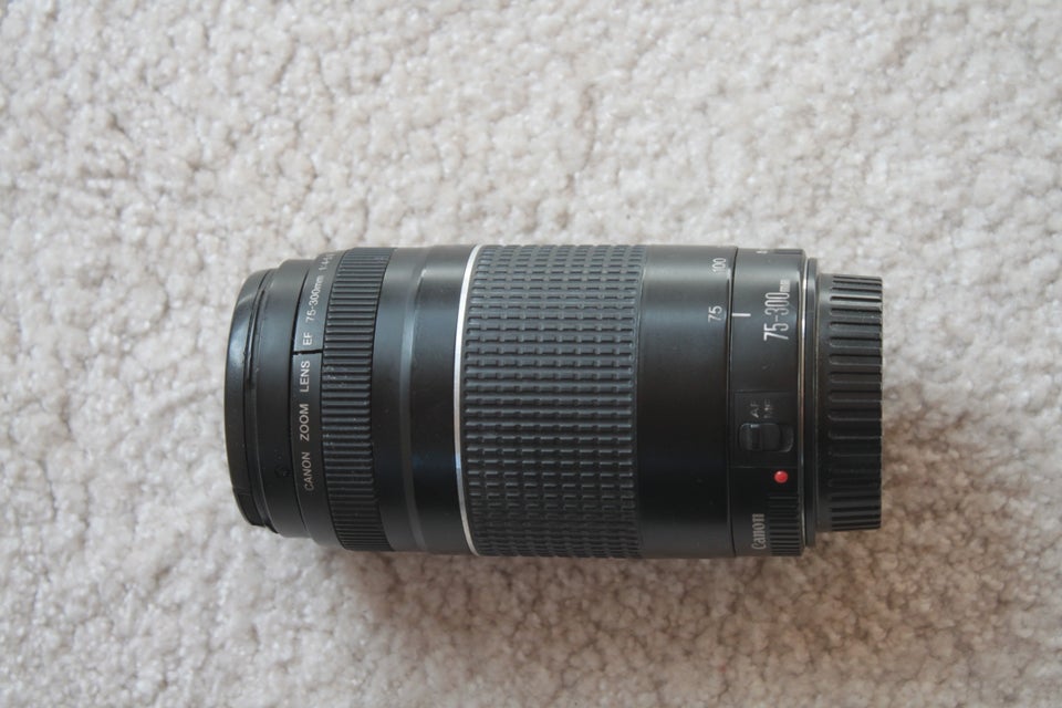 zoom, Canon, EF 75-300mm 1:4-5.6