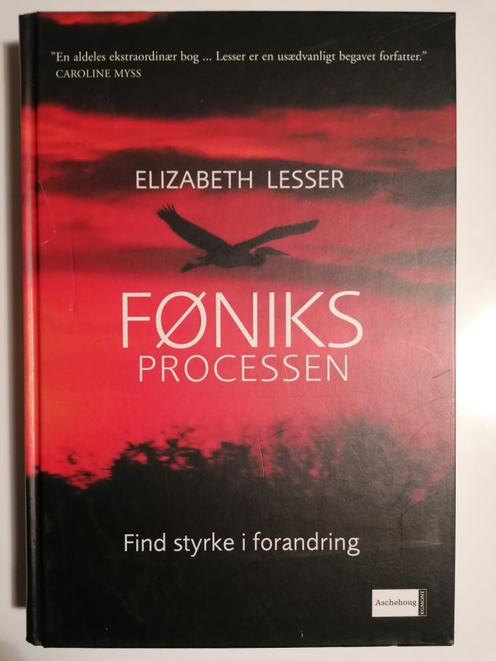 Føniks Processen - Find styrke i