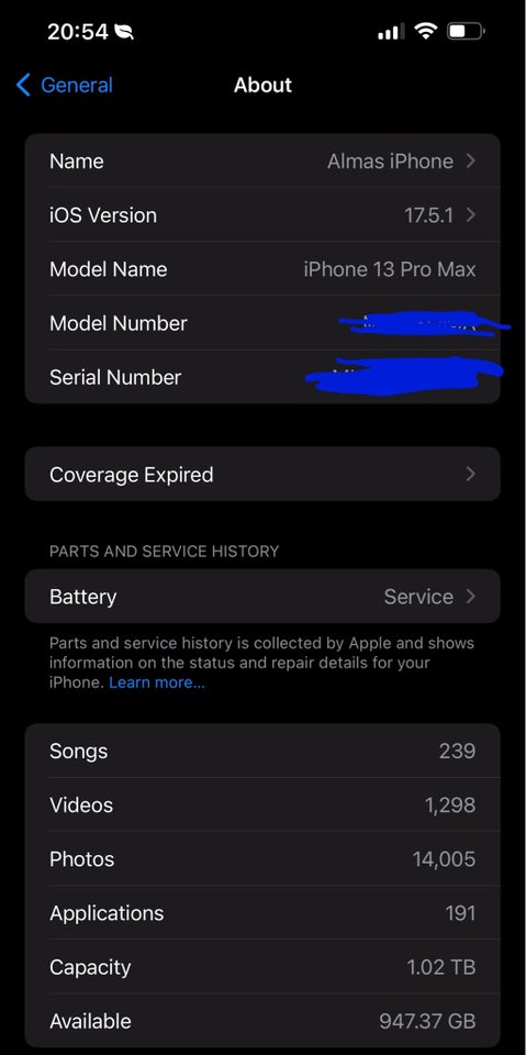 iPhone 13 Pro Max 1024 GB hvid
