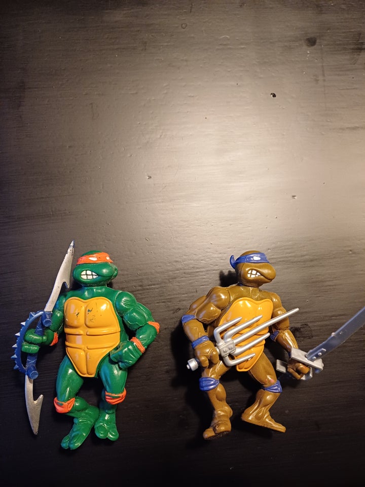 Turtles, Turtles