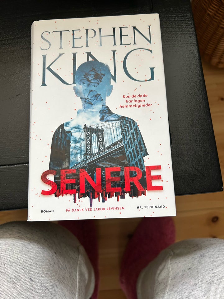 Senere, Stephen King, genre: