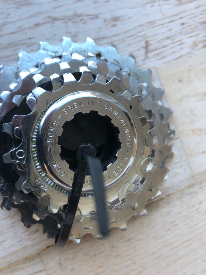 Kassette, Campagnolo